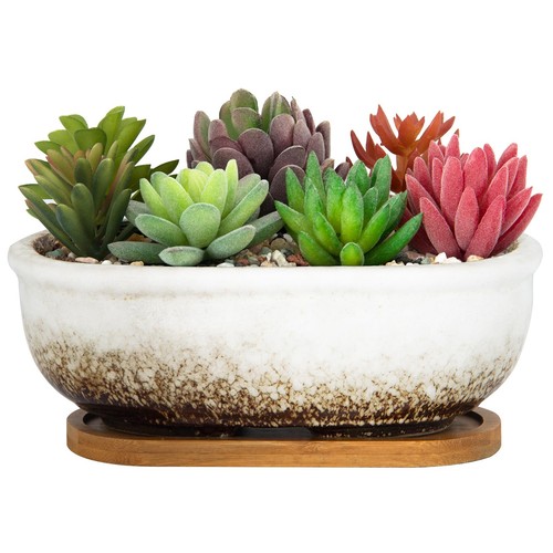Artketty vaso per - artketty, piante