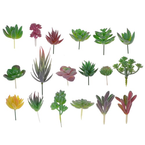 Pcs artificial succulents - 18,