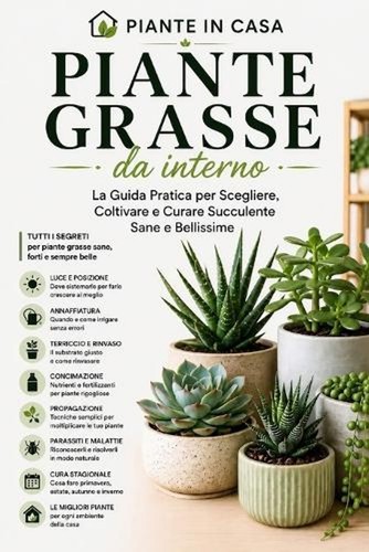 Piante grasse interno - piante,
