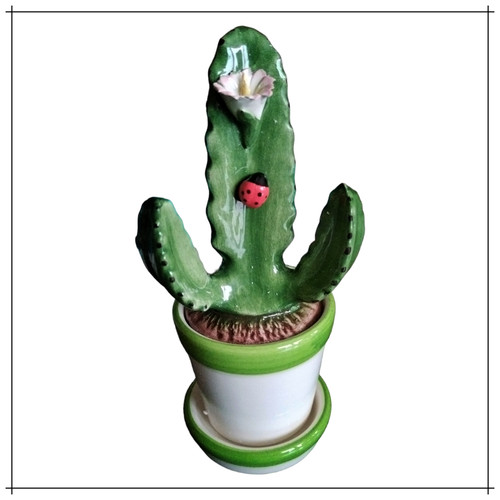 Cactus piante grasse - cactus, in